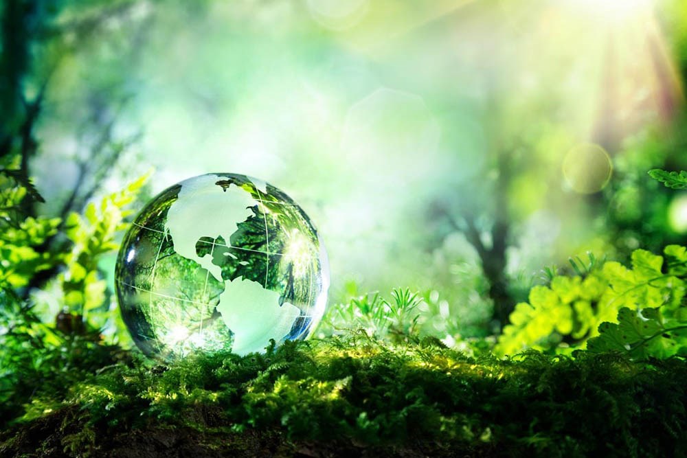 A globe in a green forest